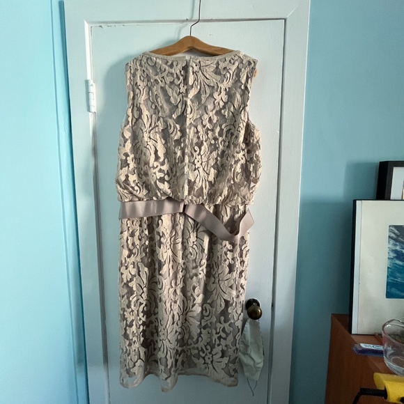 Tadashi Shoji Lace Overlay Dress in Sand, 14 - Picture 8 of 11